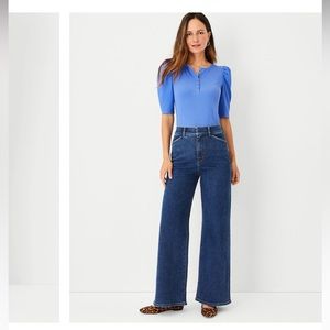 Ann Taylor 00P The Trouser Wide Leg Jean in Vintage Wash
